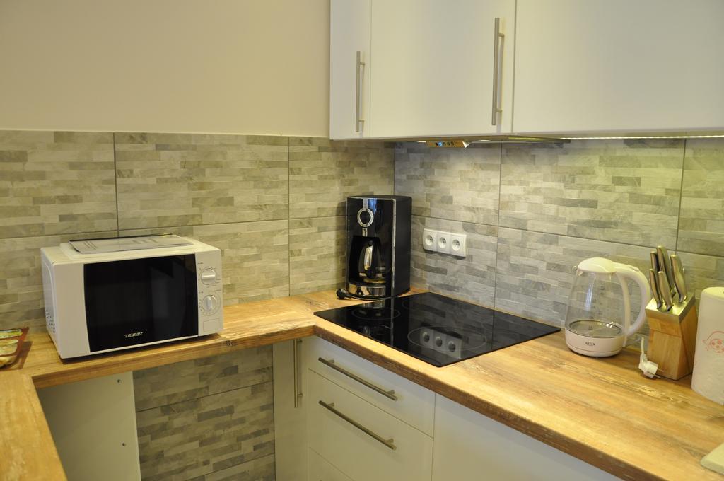 Apartament Stalowy Koscielisko Sywarne Kościelisko Exterior foto
